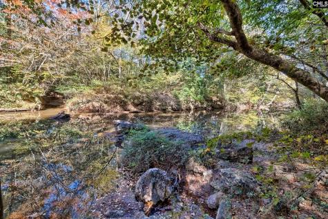 230 Cedar Shoals Way Blythewood SC 29016-8455