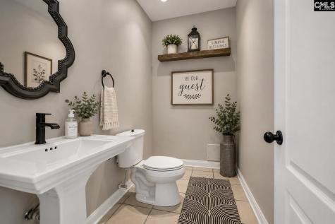 303 Vista Springs Circle Lexington SC 29072-8198