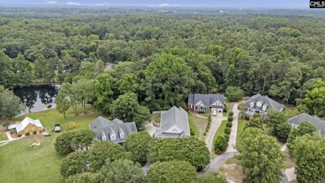 303 Vista Springs Circle Lexington SC 29072-8198