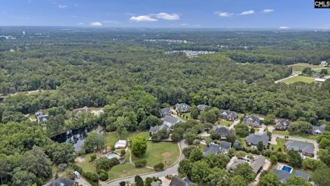 303 Vista Springs Circle Lexington SC 29072-8198