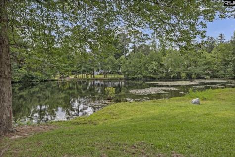 303 Vista Springs Circle Lexington SC 29072-8198