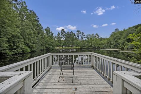 303 Vista Springs Circle Lexington SC 29072-8198
