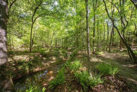 102 Warner Woods Road Lexington SC 29072