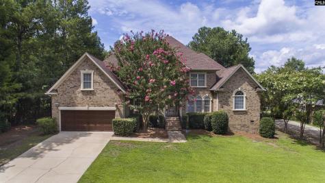 350 Forty Love Point Drive Chapin SC 29036-8863