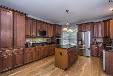 350 Forty Love Point Drive Chapin SC 29036-8863