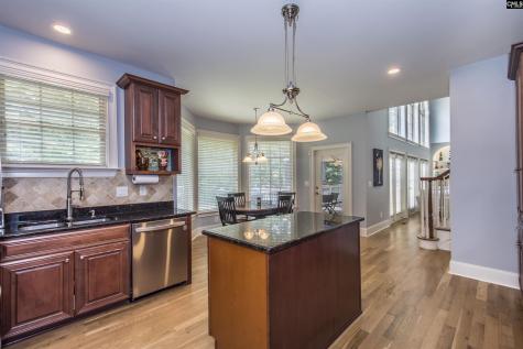 350 Forty Love Point Drive Chapin SC 29036-8863