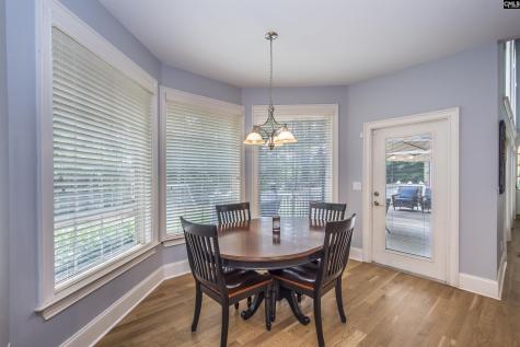 350 Forty Love Point Drive Chapin SC 29036-8863
