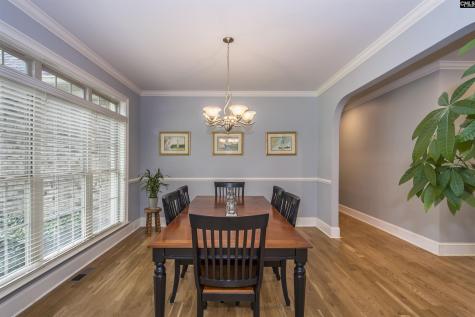 350 Forty Love Point Drive Chapin SC 29036-8863