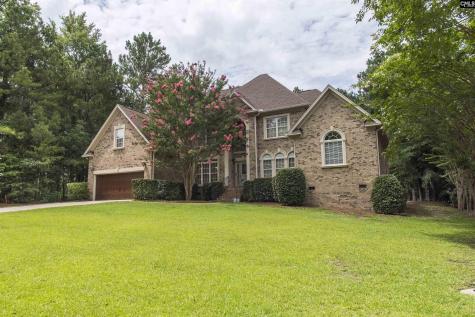 350 Forty Love Point Drive Chapin SC 29036-8863