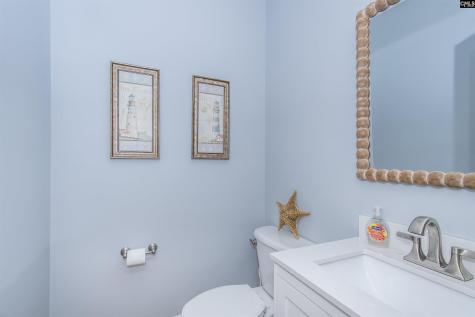 350 Forty Love Point Drive Chapin SC 29036-8863