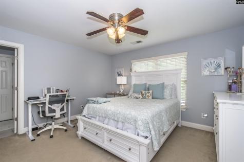350 Forty Love Point Drive Chapin SC 29036-8863