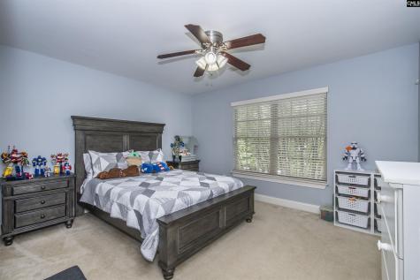 350 Forty Love Point Drive Chapin SC 29036-8863