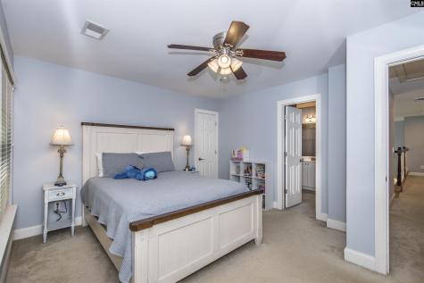 350 Forty Love Point Drive Chapin SC 29036-8863