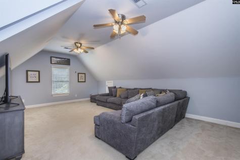 350 Forty Love Point Drive Chapin SC 29036-8863