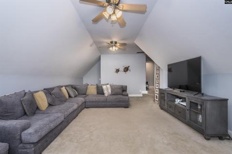 350 Forty Love Point Drive Chapin SC 29036-8863