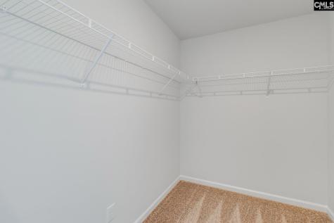 3913 Golden Crane Pass Lexington SC 29073