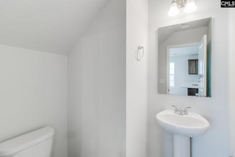 3913 Golden Crane Pass Lexington SC 29073