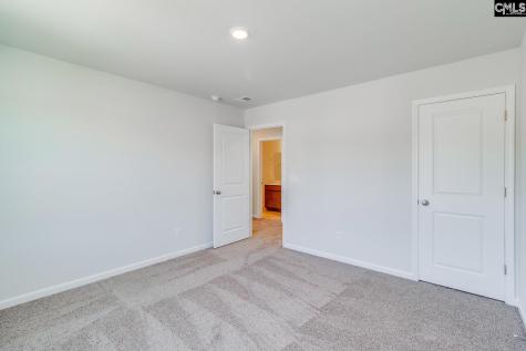 3913 Golden Crane Pass Lexington SC 29073