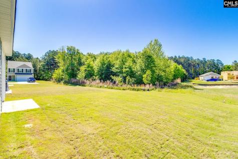 3913 Golden Crane Pass Lexington SC 29073