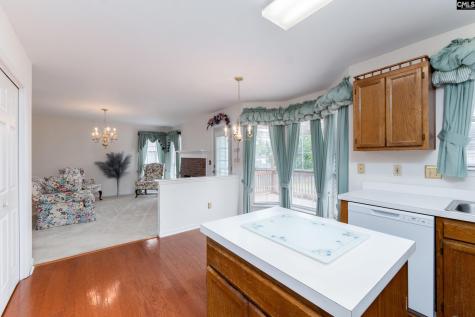 38 Dovecreek Drive Columbia SC 29229