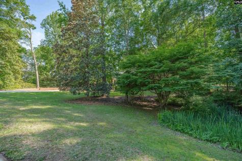 305 Barberry Drive Lexington SC 29072