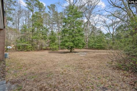 504 Harmon Street Lexington SC 29072