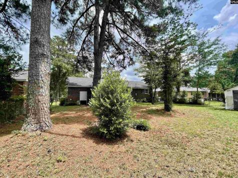 3717 Lochmore Drive Columbia SC 29209