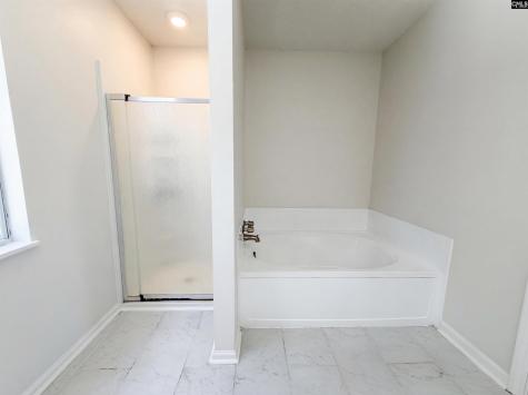 1 Newcourt Place Columbia SC 29229