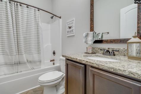 114 Keepers Court Chapin SC 29036