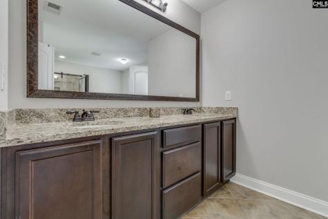 114 Keepers Court Chapin SC 29036