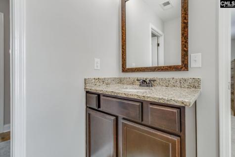 114 Keepers Court Chapin SC 29036