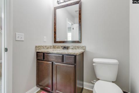 114 Keepers Court Chapin SC 29036
