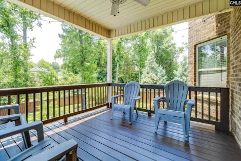 114 Keepers Court Chapin SC 29036