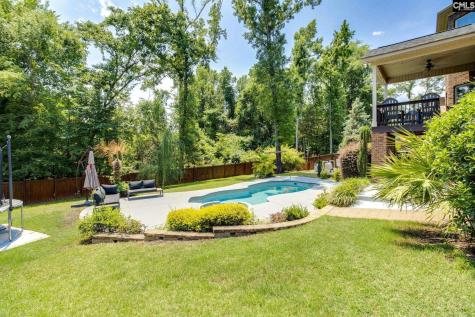 114 Keepers Court Chapin SC 29036