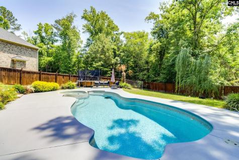 114 Keepers Court Chapin SC 29036