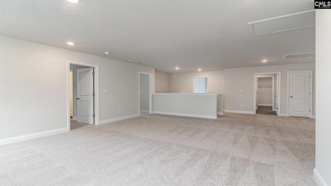 256 Livingston Woods Drive Irmo SC 29063