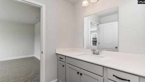 256 Livingston Woods Drive Irmo SC 29063