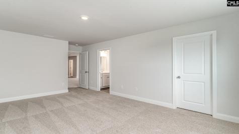 256 Livingston Woods Drive Irmo SC 29063