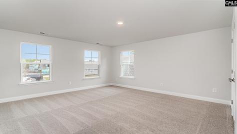 256 Livingston Woods Drive Irmo SC 29063
