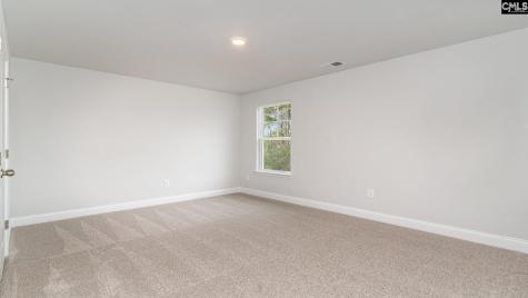 256 Livingston Woods Drive Irmo SC 29063