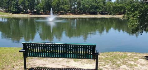 457 Drooping Leaf Road Lexington SC 29072