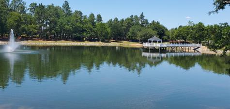 457 Drooping Leaf Road Lexington SC 29072
