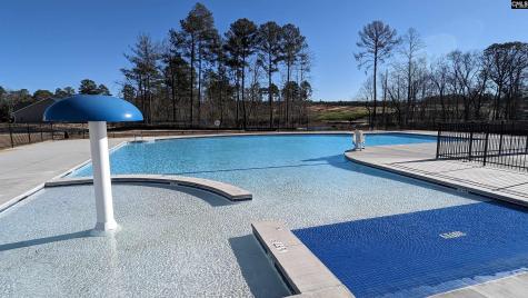 2321 Damascus Way Lexington SC 29073