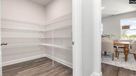 233 Livingston Woods Drive Irmo SC 29063