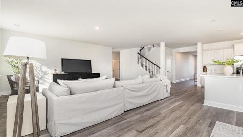 233 Livingston Woods Drive Irmo SC 29063
