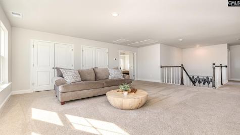 233 Livingston Woods Drive Irmo SC 29063