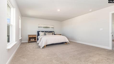 233 Livingston Woods Drive Irmo SC 29063