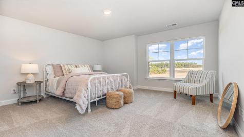 233 Livingston Woods Drive Irmo SC 29063