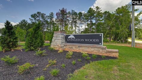 233 Livingston Woods Drive Irmo SC 29063