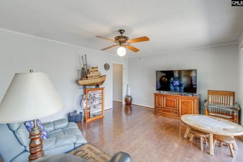 520 Cherokee Trail Lexington SC 29072